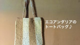 エコアンダリアのかごバッグの作り方 簡単編み方をご紹介 テシゴト部